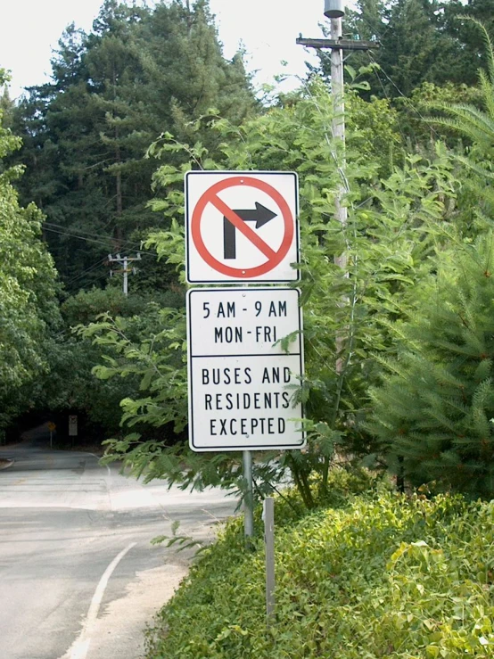 an arrow on a road sign is next to some trees