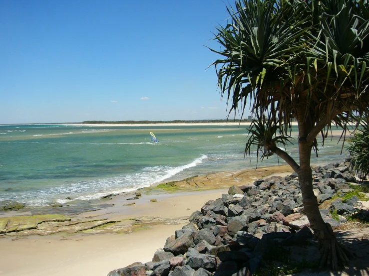 a beach that has rocks and plants on it