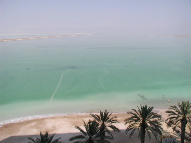 an overhead s of a deserted beach with palm trees