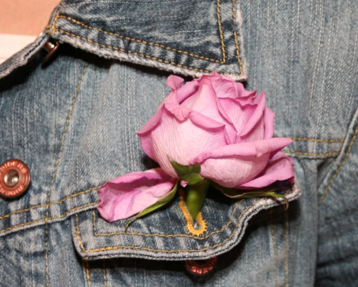 a small rose placed in a jean jacket