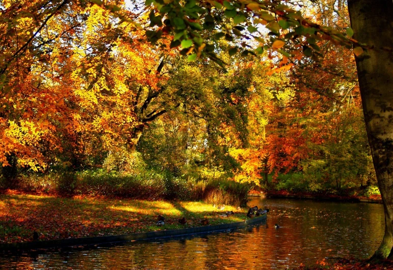 a boat floating down a river with trees in the background