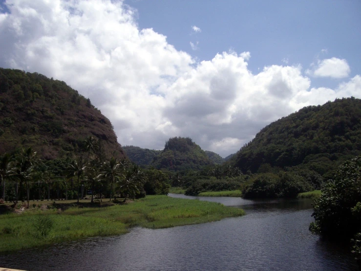 a river surrounded by lush green trees under a cloudy sky