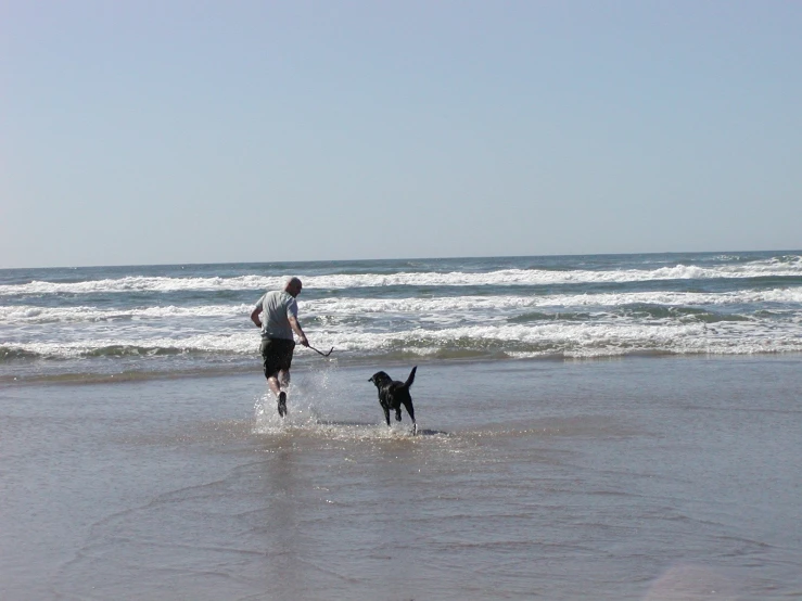 two people and a dog are playing at the beach