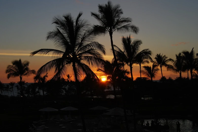 a sun rises behind palm trees and boats on the water