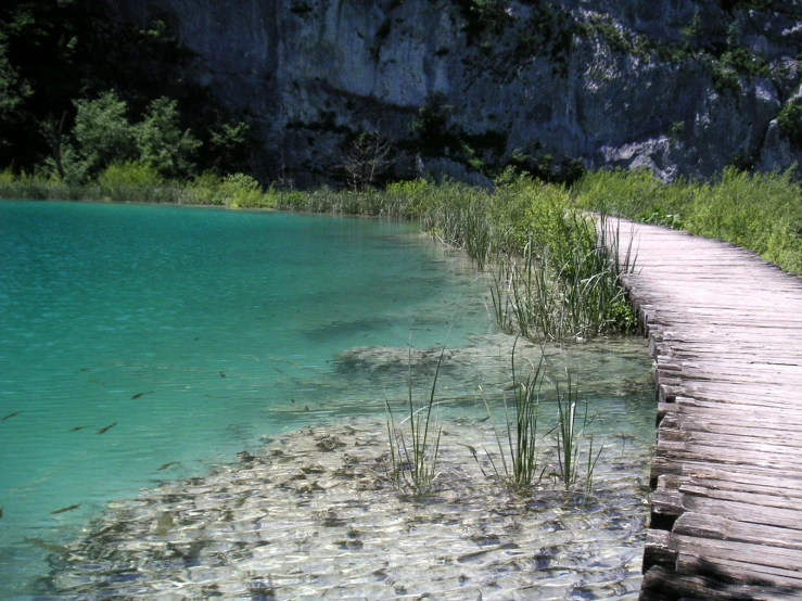 a boardwalk stretches over clear water next to trees