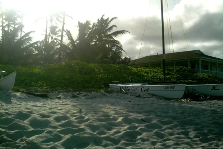 two boats sitting on the beach in front of trees