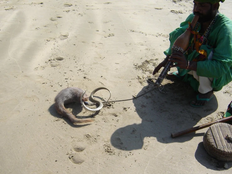 a man kneeling down to examine a dead animal