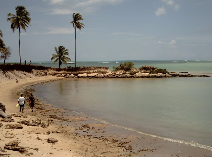 a group of people walk along the shore line