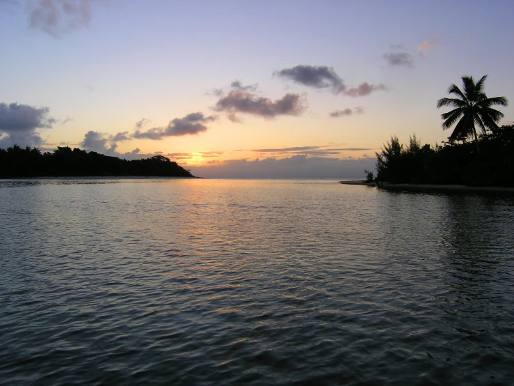 sunset view on a deserted beach with palm trees and water