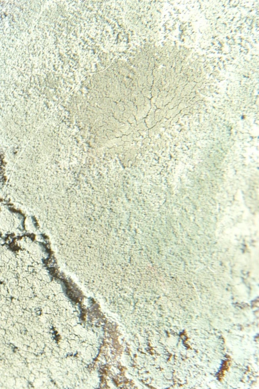 a bird flying in a clear sky over the desert