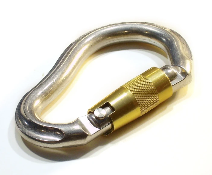 the front view of a golden carabine with an oval metal object