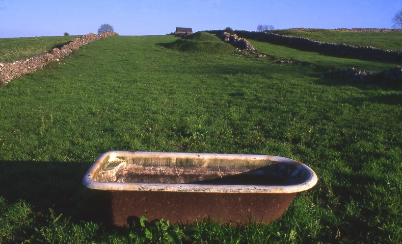 a bench sitting in the middle of a field