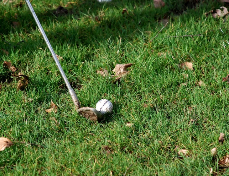 a golf ball on the ground next to a driver