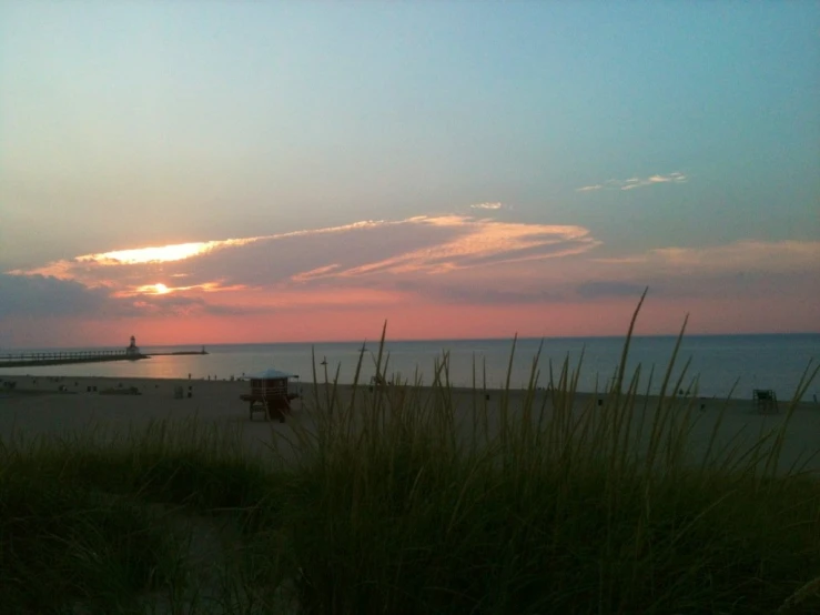 a sandy beach area with grass on the sand