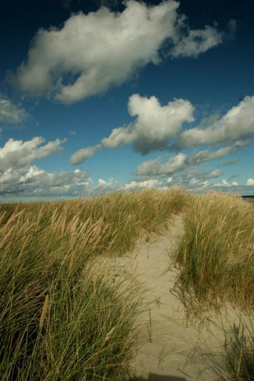 the clouds are moving over the sand dunes