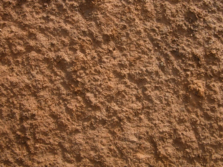 a tan background with a small patch of dirt