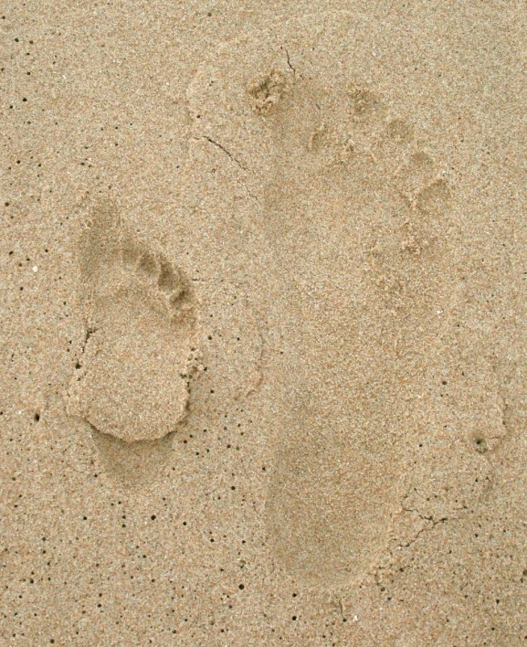 the footprints of a person are in the sand