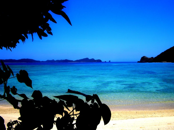 an area with bright blue water and palm trees