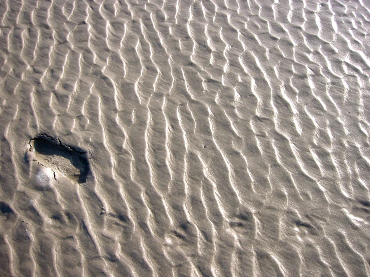 footprints in the sand of a beach