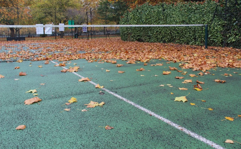 a tennis court that has leaves on it