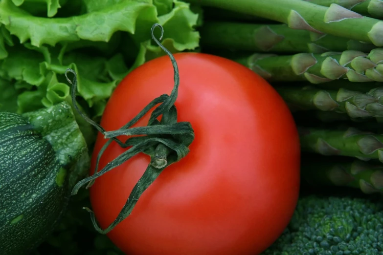 red tomato and green vegetables sit next to each other