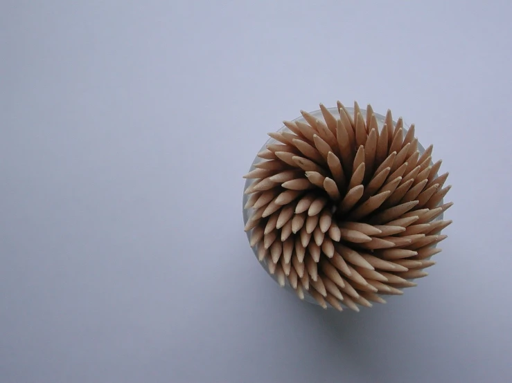 the top view of a large wooden ball