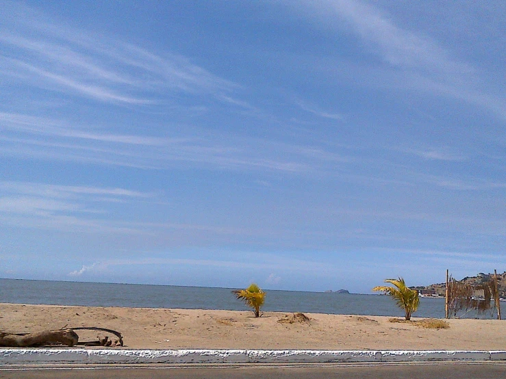 two animals on the beach near water