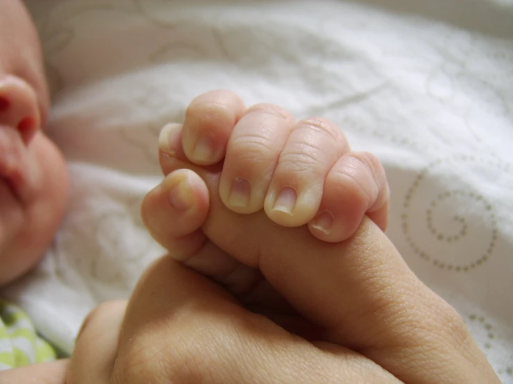 a baby's hand holding on to its mother