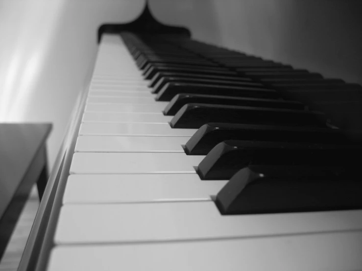 an piano has all the keys of it