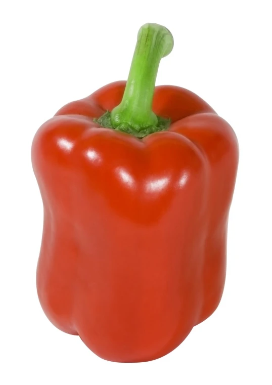 a bell pepper on a white background