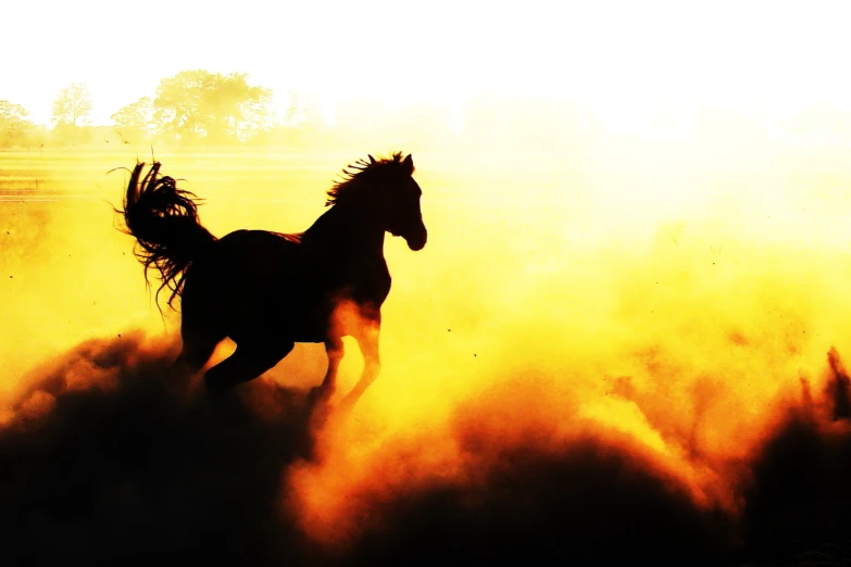 a horse with feathers running in the dust