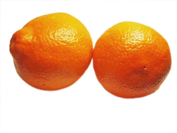a pair of oranges that are sitting side by side