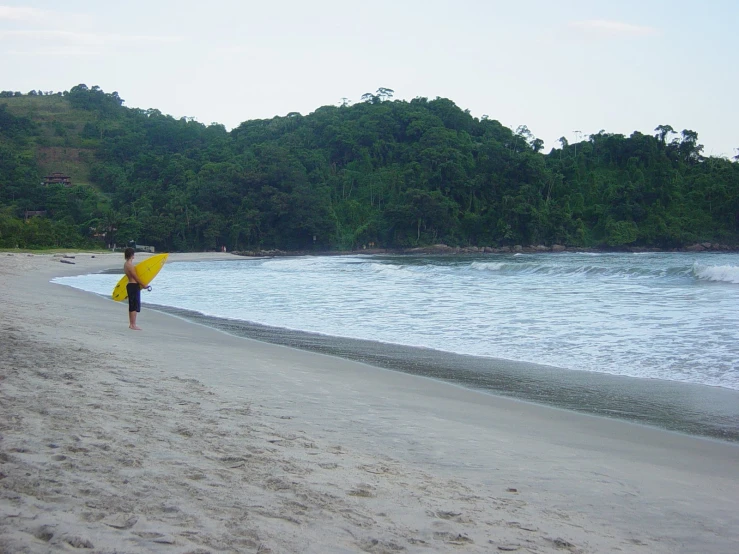 the person is on the beach with an umbrella