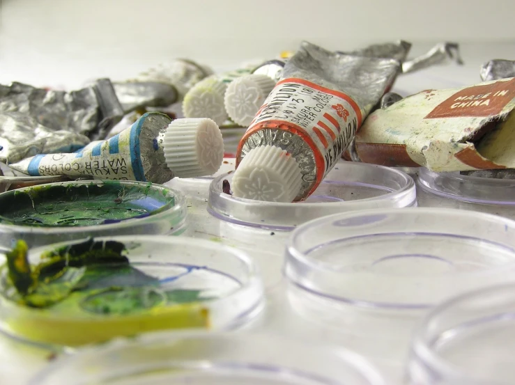 several bowls containing plastic and an insect plant