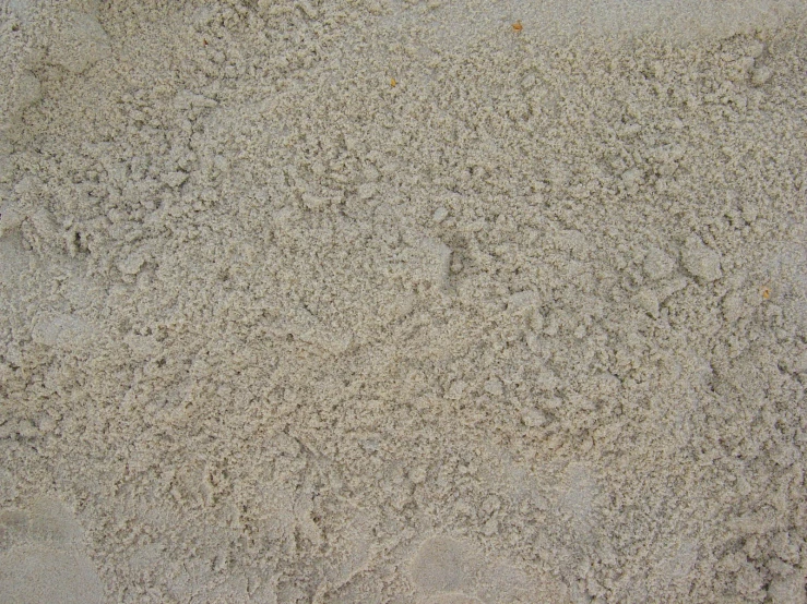 the sand is white with small dots of green