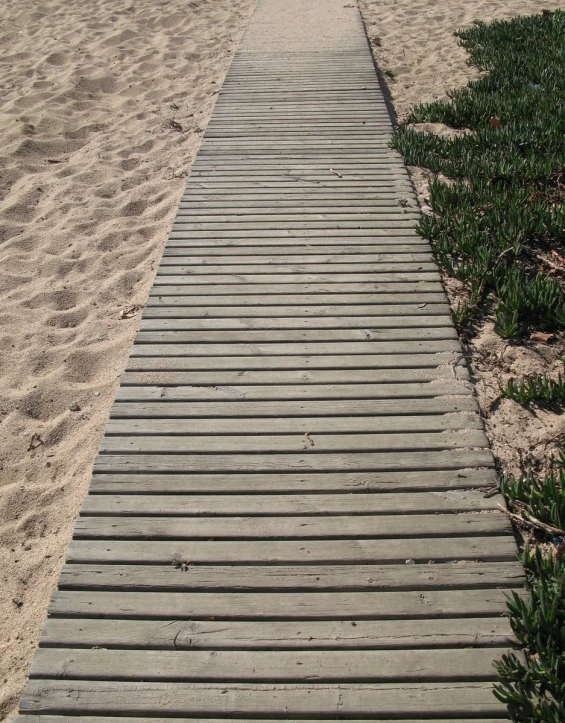 a wooden path to the beach with grass on both sides