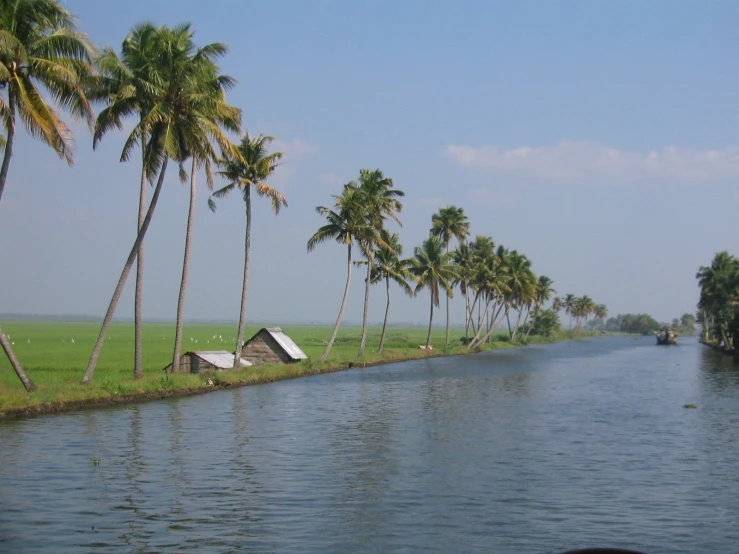 a long stretch of water with palm trees next to it