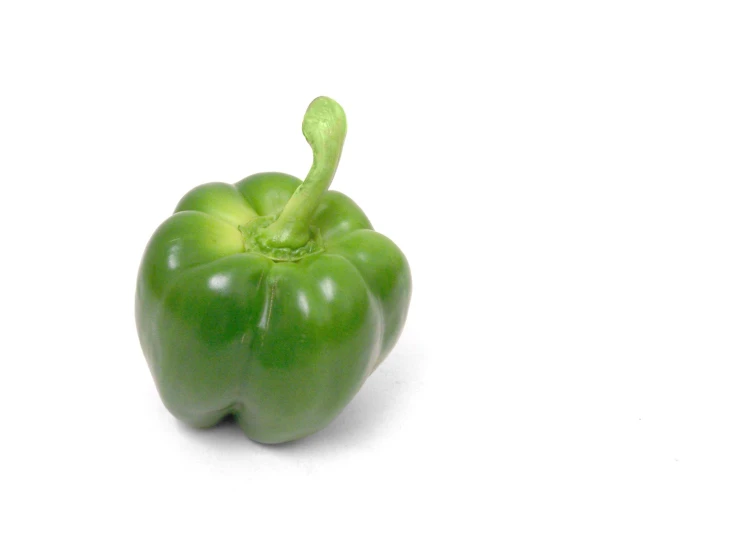 a green pepper on white background with watermark