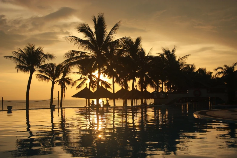 a couple of palms trees that are sitting in the water