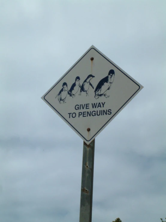 there is a sign warning that penguins may get eaten