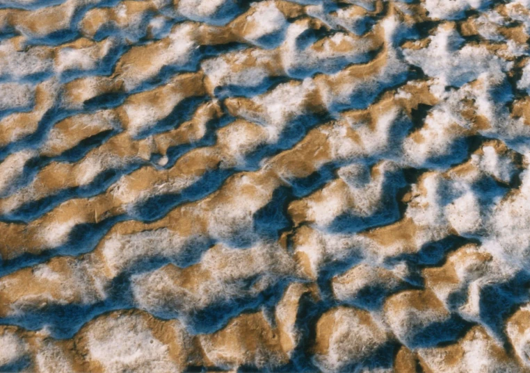 snow covers the ground on an icy day