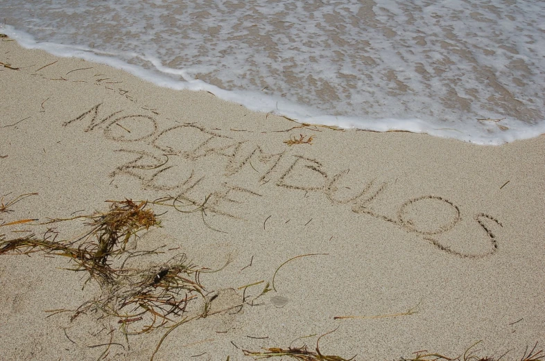 an image of a sandy beach with the word ocean written in it