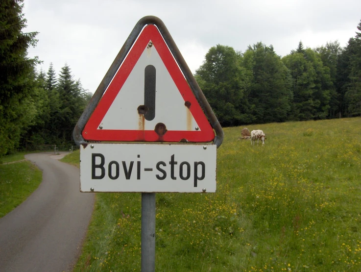 a very odd road sign in some grass and trees