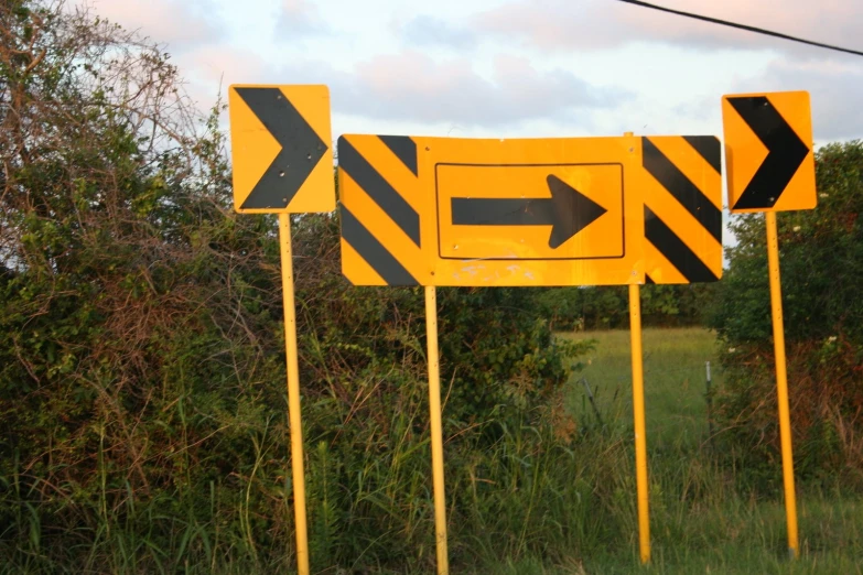 several street signs near some bushes and trees