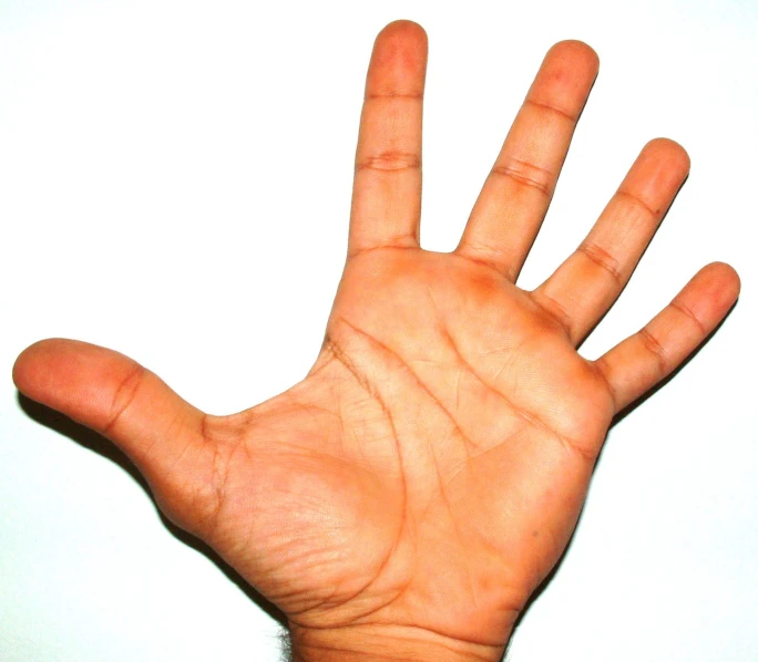 hand with multiple folds, with middle finger extended toward the viewer