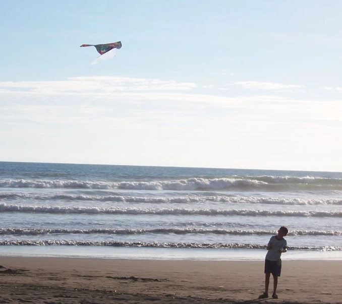 a person flying a kite on the beach