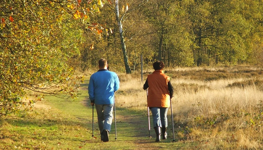 two people walking with poles along a path in the forest