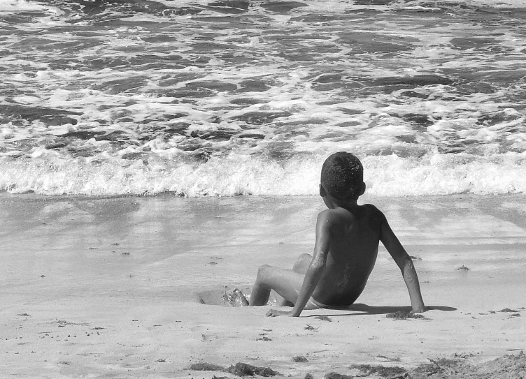 a  sitting on top of a beach next to the ocean