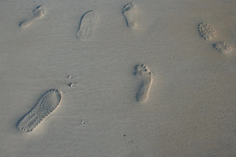 two footprints in the sand and three birds feet