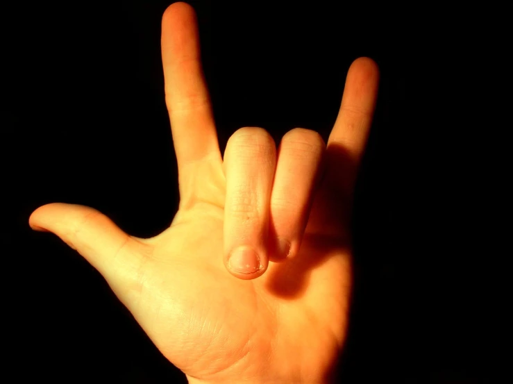 a hand with the middle fingers up in the air